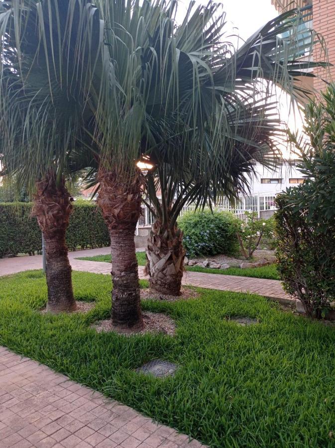Apartamento Pilar Solo Familias Gandia Zewnętrze zdjęcie